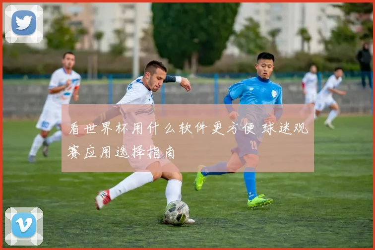 看世界杯用什么软件更方便 球迷观赛应用选择指南