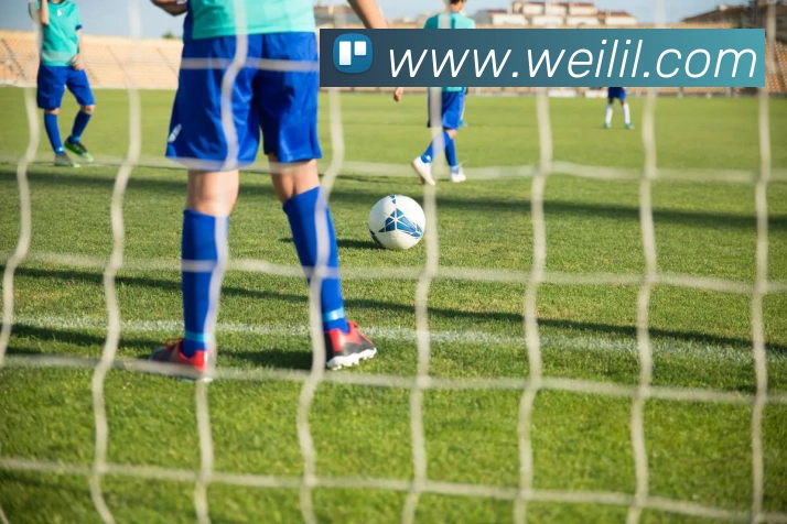 荷兰队2024欧洲杯出线形势与备战影响评估：关键球员与赛程看点